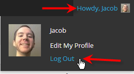 hover over howdy user click log out